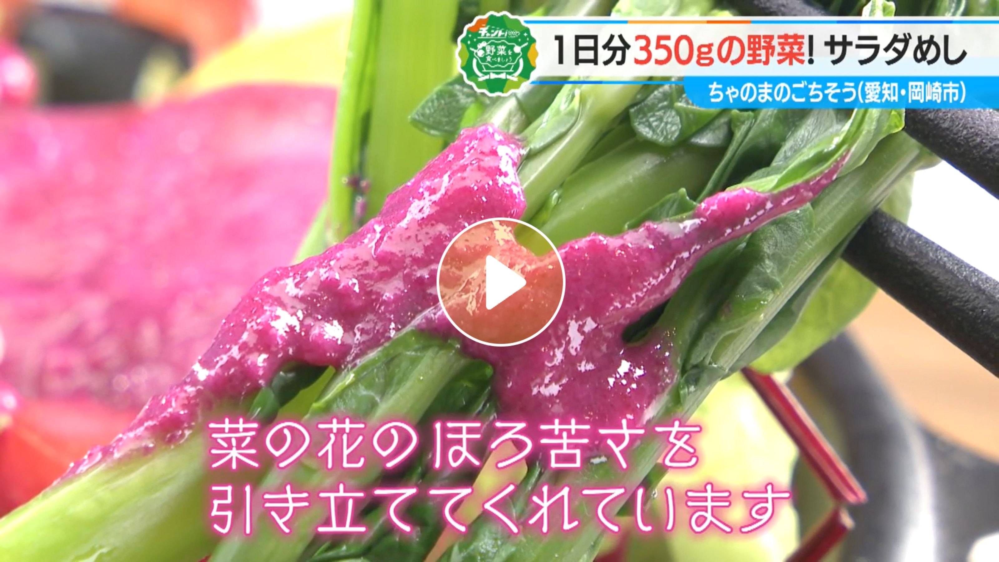 Locipoで動画を見る