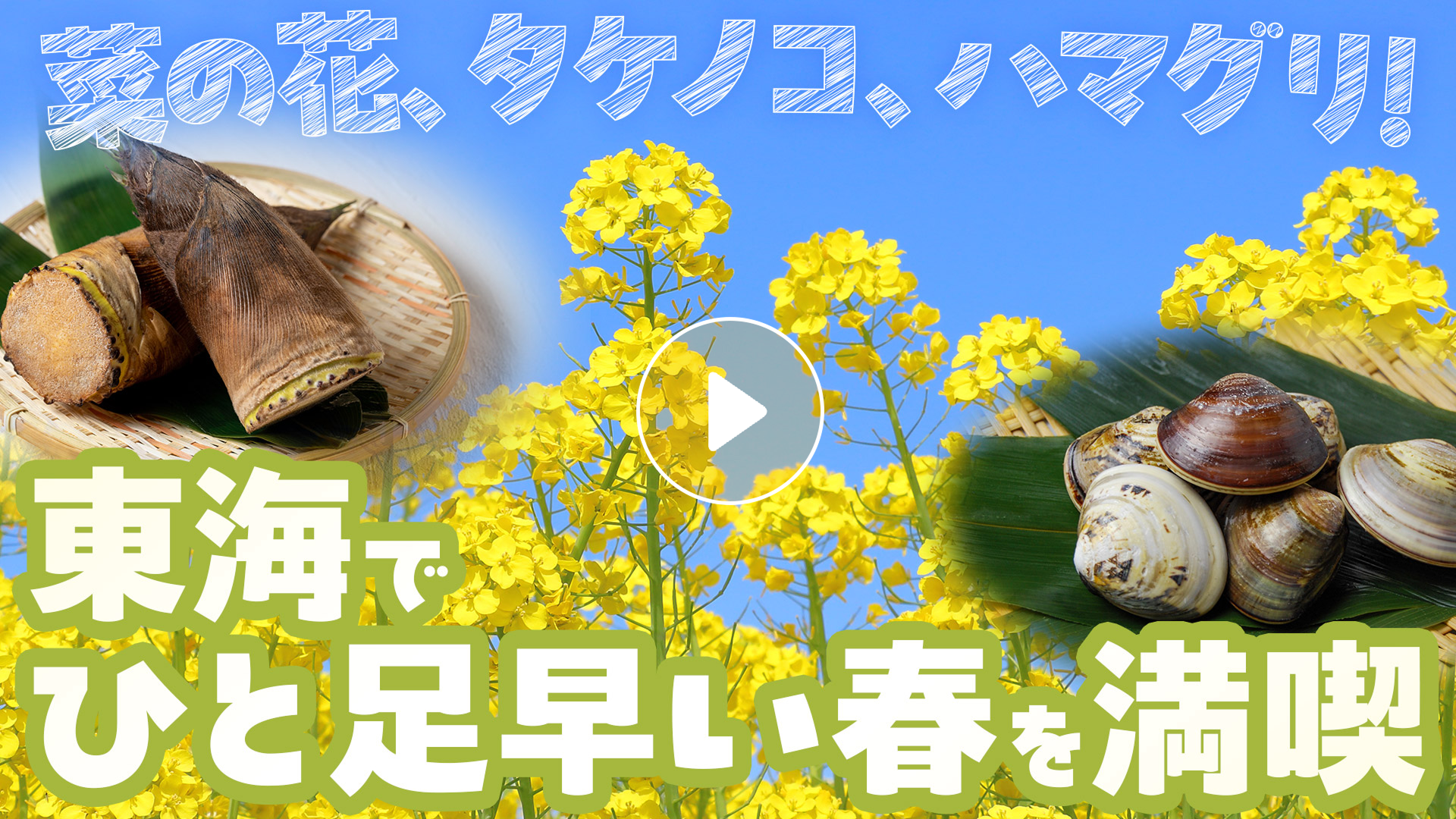 Locipoで動画を見る