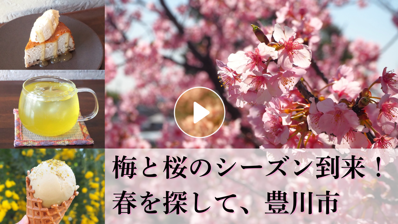 Locipoで動画を見る