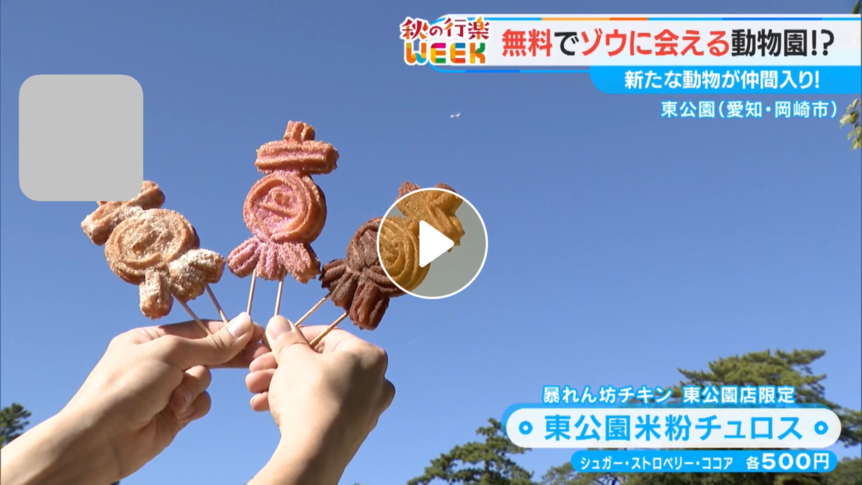 Locipoで動画を見る