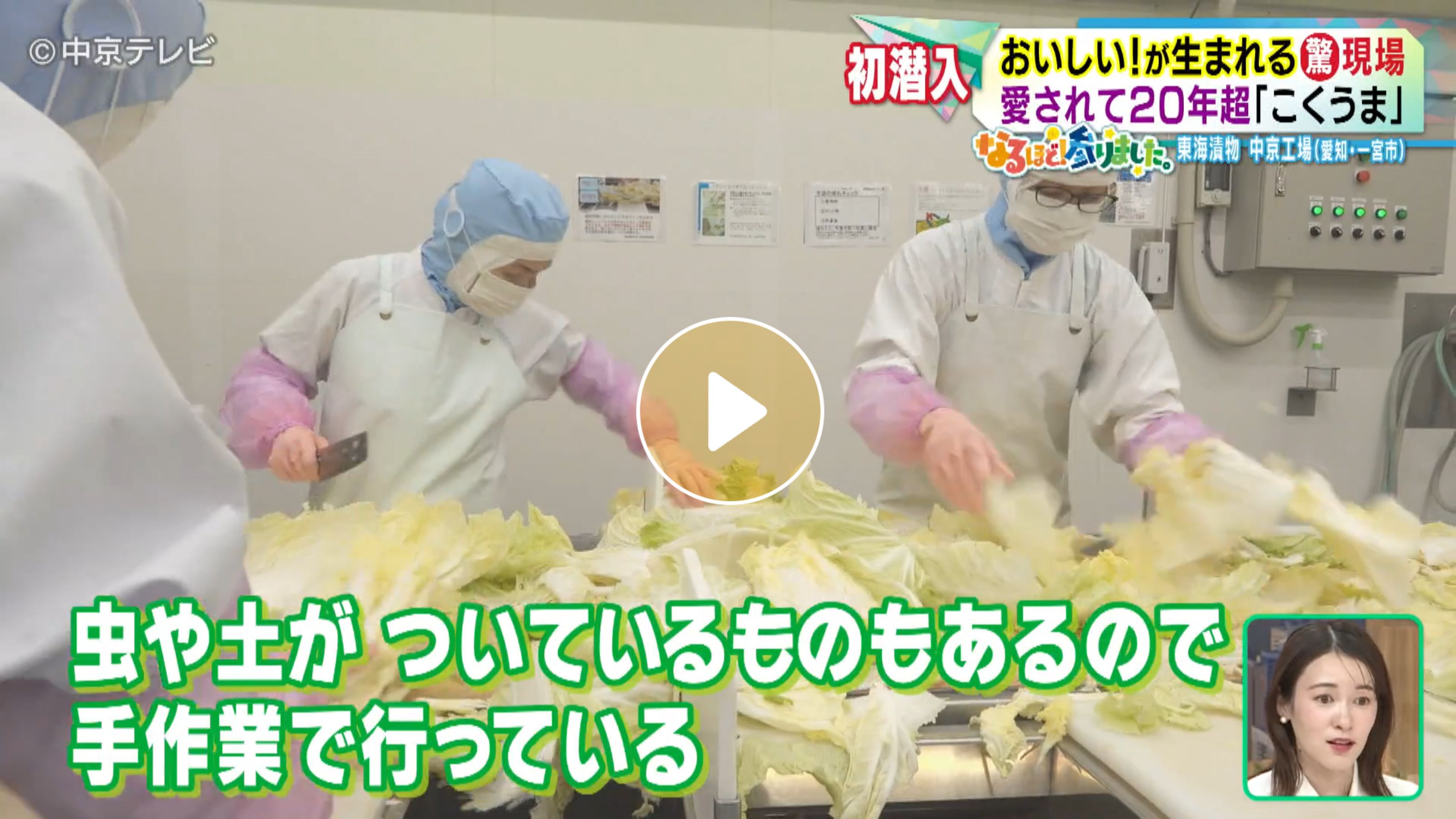 Locipoで動画を見る