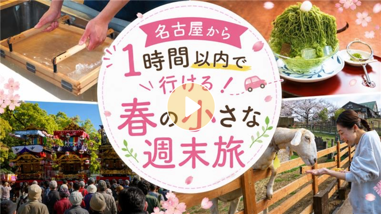 Locipoで動画を見る