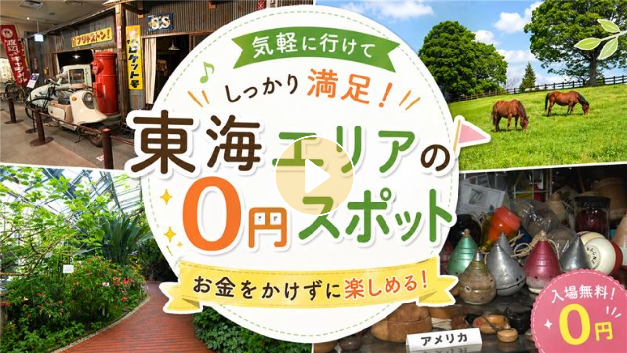 Locipoで動画を見る