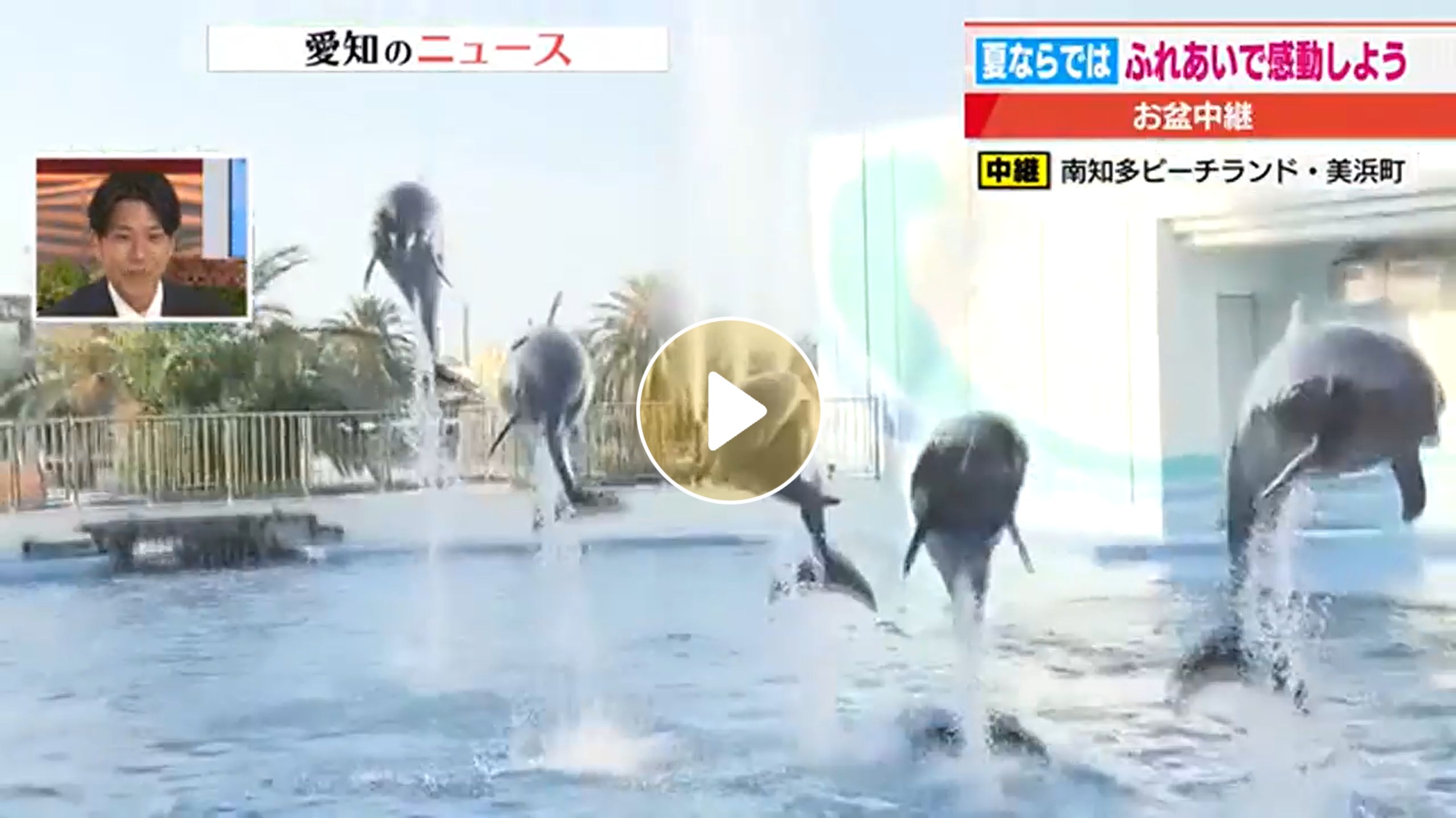 Locipoで動画を見る
