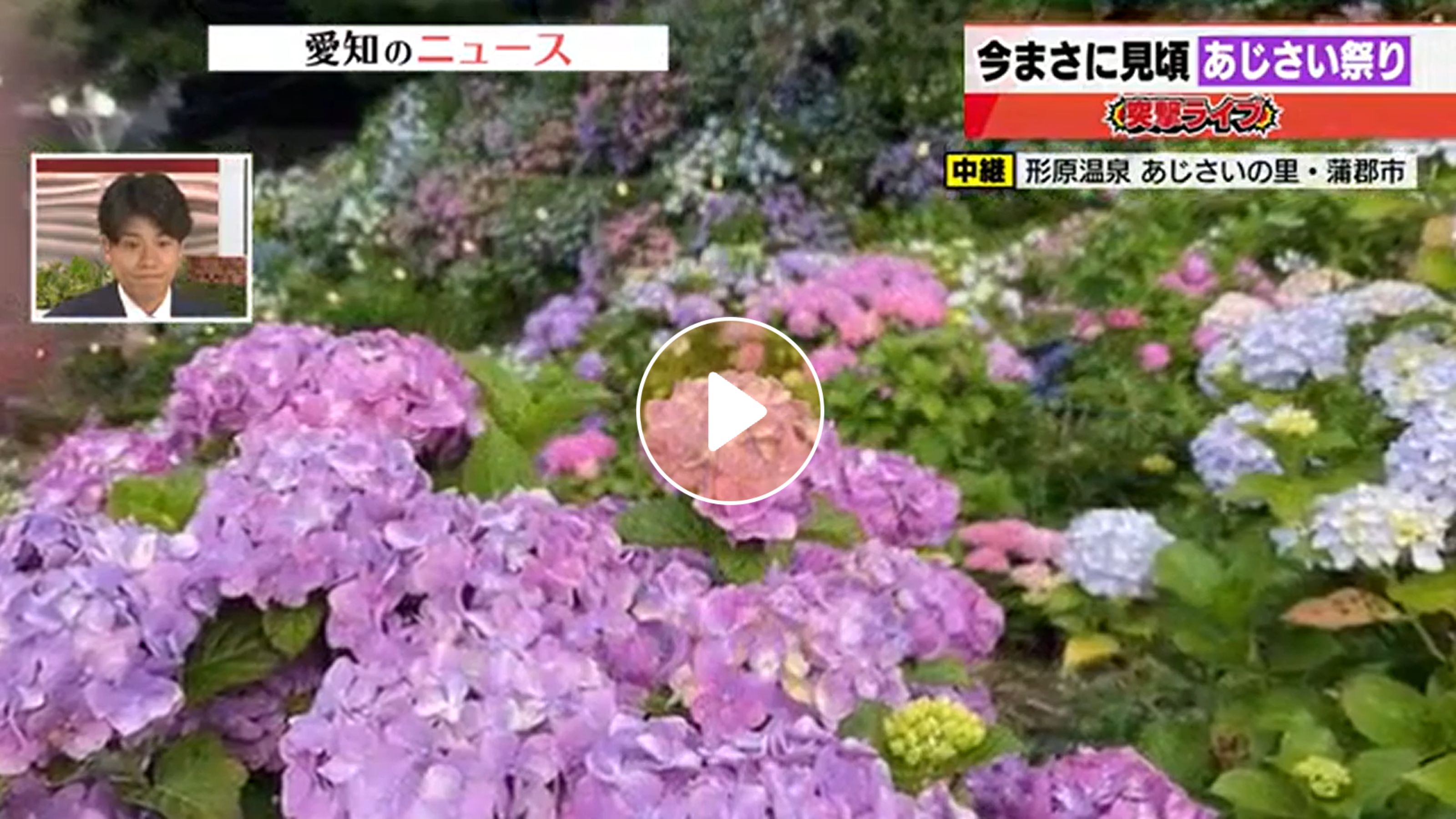 Locipoで動画を見る