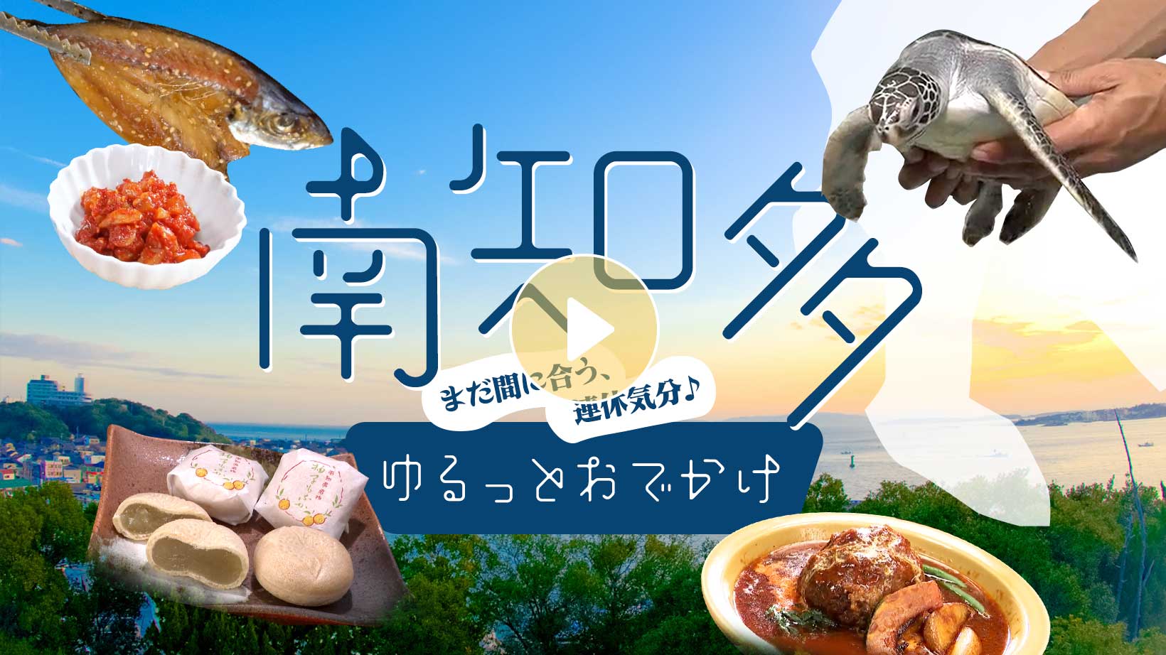 Locipoで動画を見る