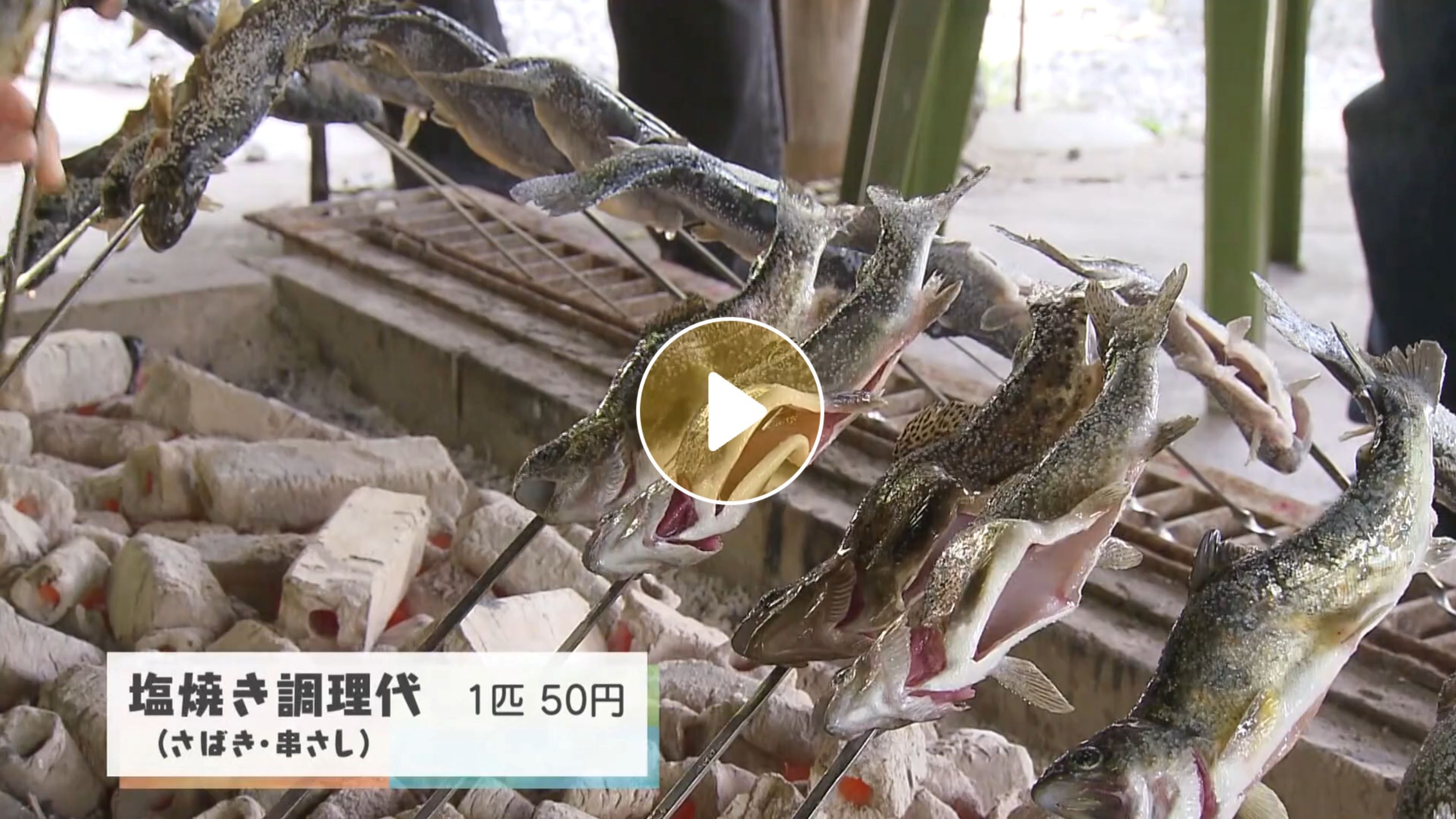 Locipoで動画を見る